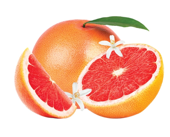 Screenshot_5-2-2025_94136_eco-grown.com